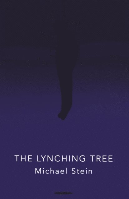 Michael Stein - Lynching Tree, E-bok