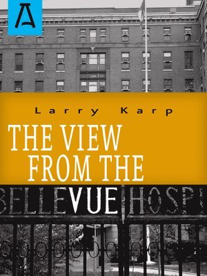 Larry Karp - View from the Vue, Häftad