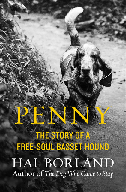 Hal Borland - Penny, E-bok