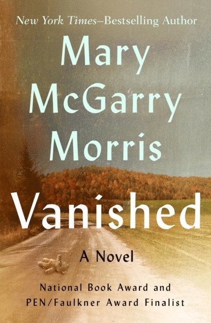 Mary McGarry Morris - Vanished, E-bok