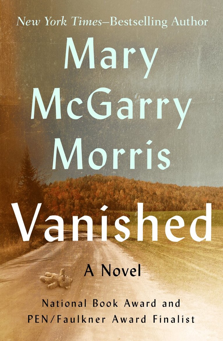 Mary McGarry Morris - Vanished, Häftad