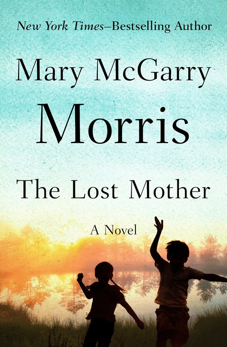 Mary McGarry Morris - Lost Mother, Häftad