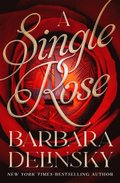 A Single Rose