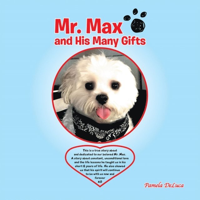 Pamela DeLuca - Mr. Max and His Many Gifts, E-bok. Tillgänglighet: Lägg i varukorg