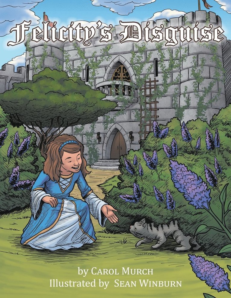 Carol Murch - Felicity's Disguise, Häftad