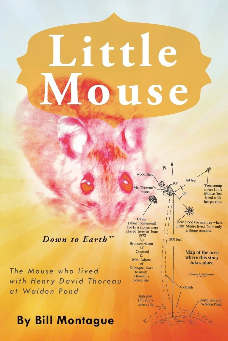 Little Mouse