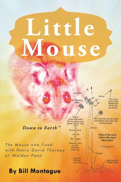 Bill Montague - Little Mouse, E-bok. Tillgänglighet: Lägg i varukorg