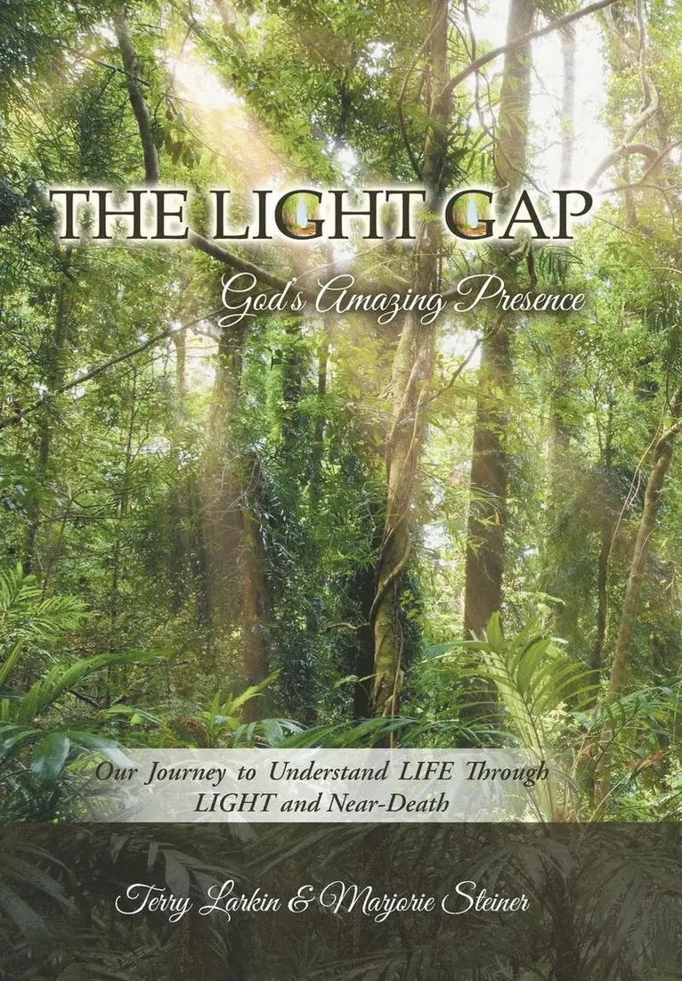 Terry Larkin, Marjorie Steiner - Light GAP, Inbunden. Tillgänglighet: Lägg i varukorg