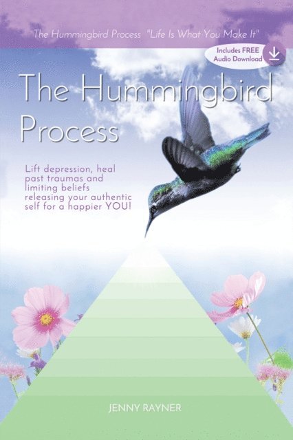 Jenny Rayner - Hummingbird Process, E-bok