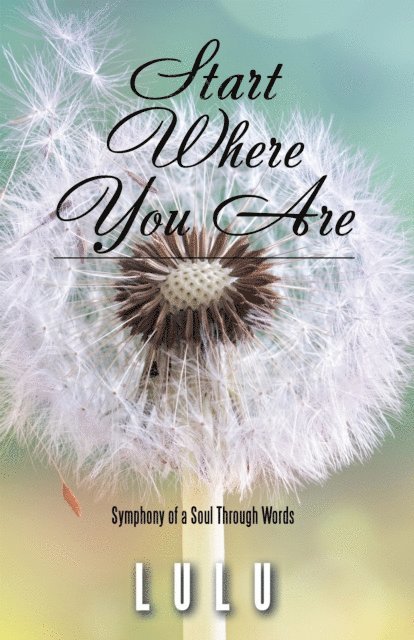 Lulu - Start Where You Are, E-bok