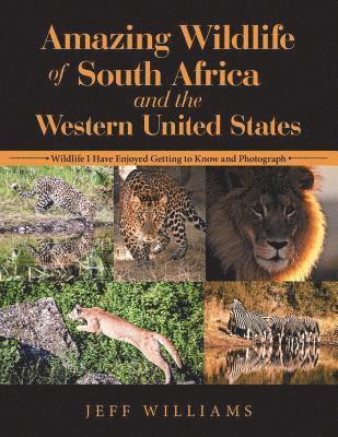 Jeff Williams - Amazing Wildlife of South Africa and the Western United States, Häftad