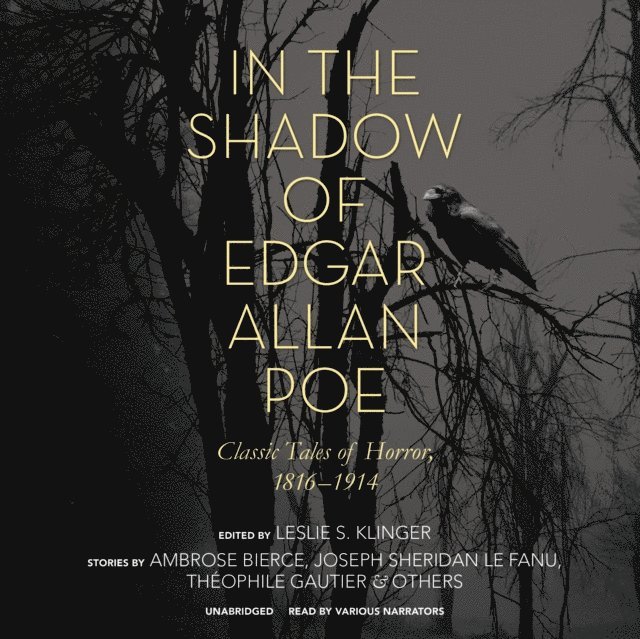 Gildart Jackson, others, Joseph Sheridan Le Fanu, Leslie S. Klinger, Ambrose Bierce - In the Shadow of Edgar Allan Poe, Ljudbok