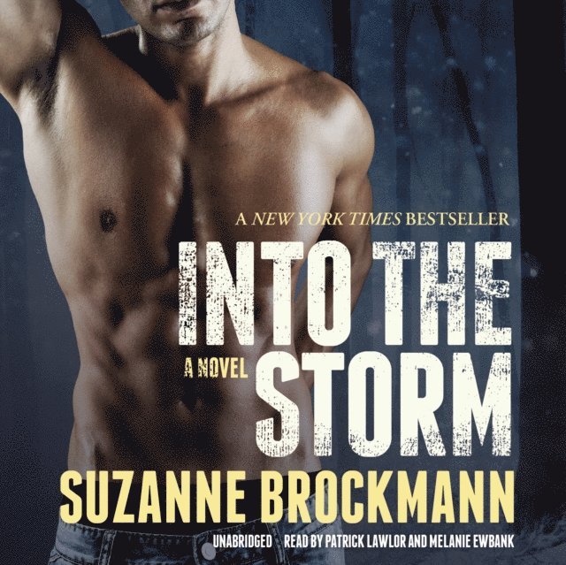 Suzanne Brockmann - Into the Storm, Ljudbok