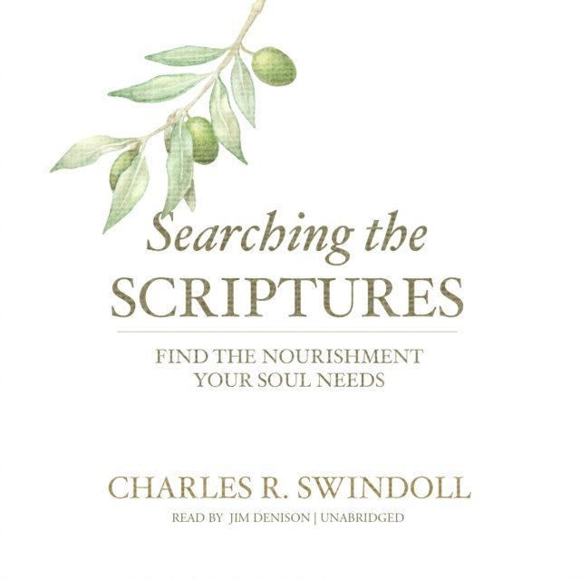 Charles R. Swindoll - Searching the Scriptures, Ljudbok