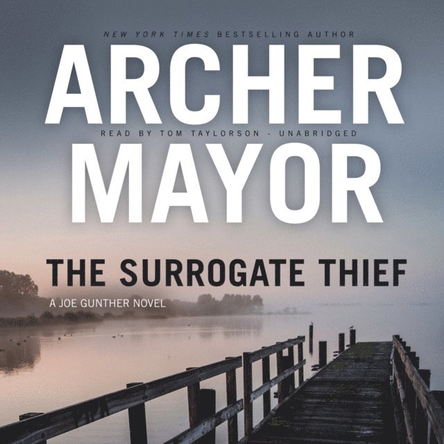 Archer Mayor - Surrogate Thief, Ljudbok