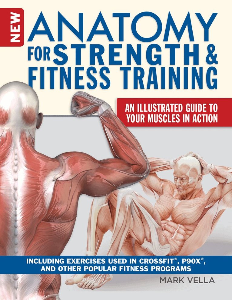 Mark Vella - Anatomy for Strength and Fitness Training, Häftad