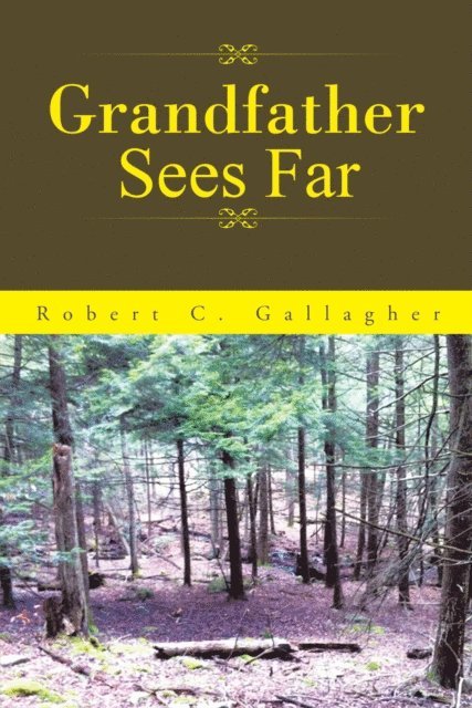Robert C. Gallagher - Grandfather Sees Far, E-bok. Tillgänglighet: Lägg i varukorg
