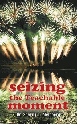Sherry L Meinberg - Seizing the Teachable Moment, Häftad. Tillgänglighet: Lägg i varukorg