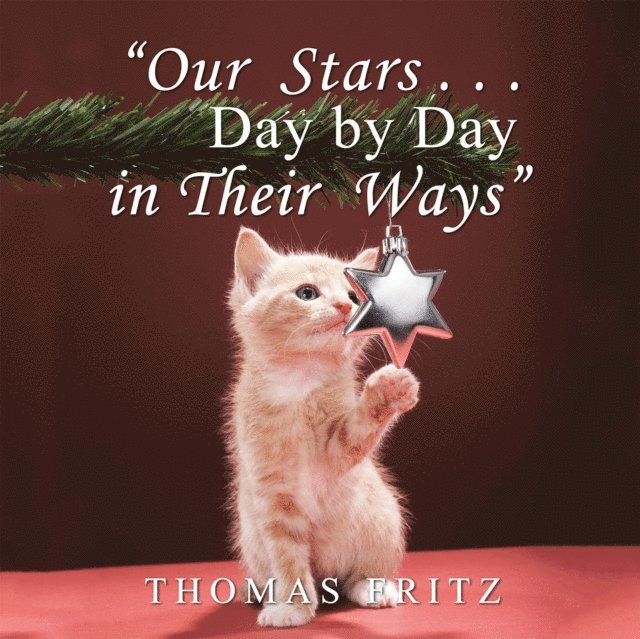 Thomas Fritz - &quote;Our Stars ... Day by Day in Their Ways&quote;, E-bok