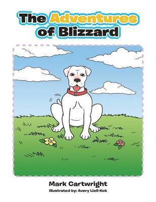 Mark Cartwright - Adventures of Blizzard, Häftad