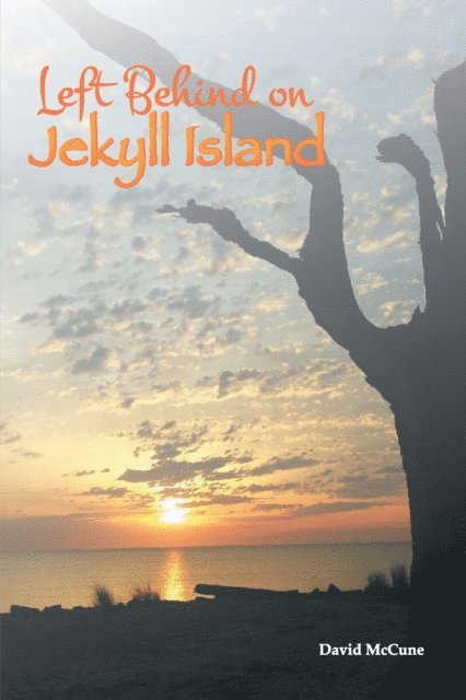 David McCune - Left Behind on Jekyll Island, E-bok