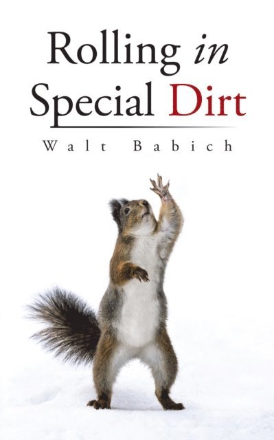 Walt Babich - Rolling in Special Dirt, E-bok. Tillgänglighet: Lägg i varukorg