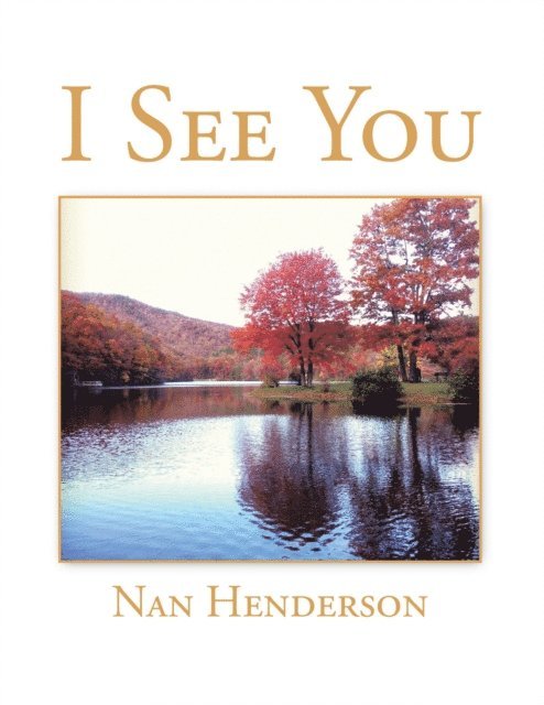 Nan Henderson - I See You, E-bok