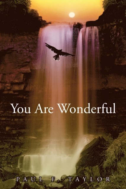 Paul F. Taylor - You Are Wonderful, E-bok