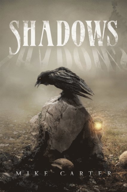 Mike Carter - Shadows, E-bok