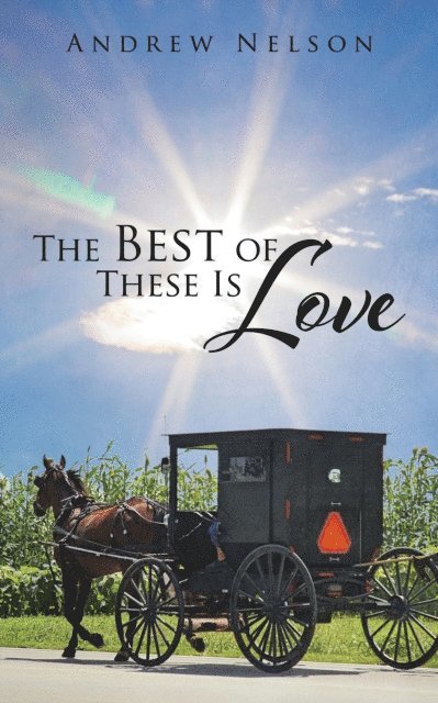 Andrew Nelson - Best of These Is Love, E-bok