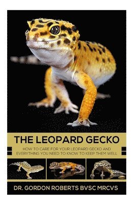 Gordon Roberts - The Leopard Gecko: How to care for your Leopard Gecko and everything you need to know to keep them well., Häftad. Tillgänglighet: Lägg i varukorg
