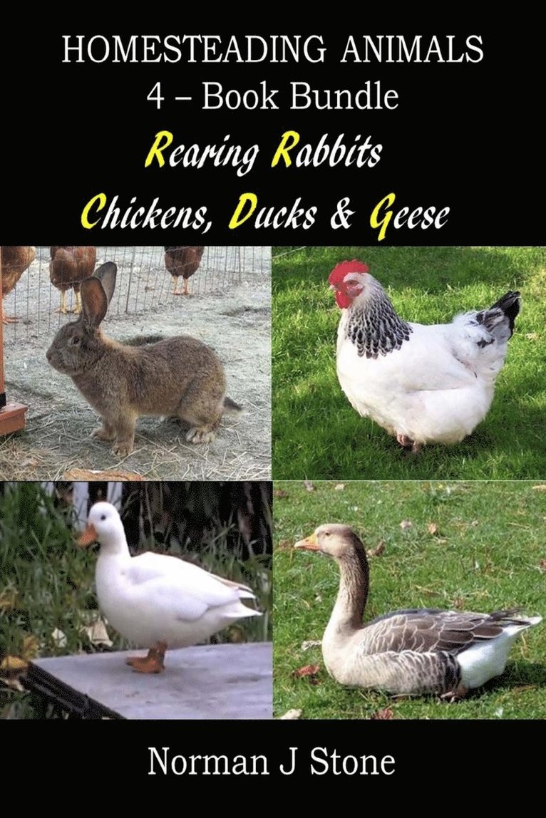 Norman J Stone - Homesteading Animals 4-Book Bundle, Häftad. Tillgänglighet: Lägg i varukorg