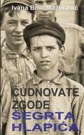 Cudnovate zgode segrta Hlapica