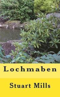Stuart Mills - Lochmaben: Ashley's Beginning or is it the end........., Häftad. Tillgänglighet: Lägg i varukorg