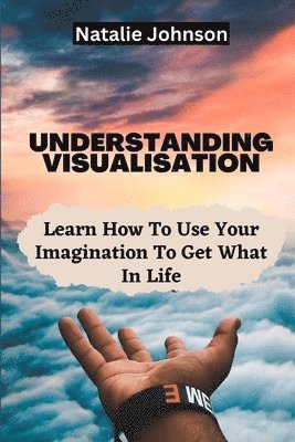 Natalie Johnson - Understanding Visualization, Häftad. Tillgänglighet: Lägg i varukorg