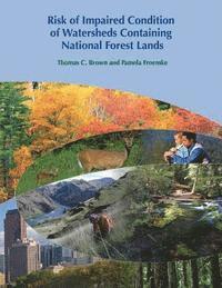 Pamela Froemke, Thomas C. Brown - Risk of Impaired Condition of Watersheds Containing National Forest Lands, Häftad. Tillgänglighet: Lägg i varukorg