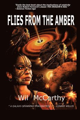 Wil McCarthy - Flies from the Amber, Häftad. Tillgänglighet: Lägg i varukorg