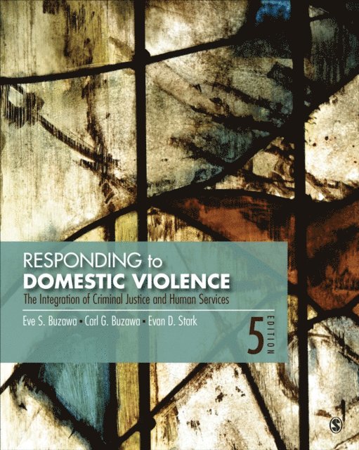 Evan D. Stark, Carl G. Buzawa, Eve S. Buzawa - Responding to Domestic Violence, E-bok