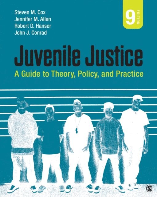 Robert D. Hanser, Jennifer M. Allen, Steven M. Cox - Juvenile Justice, E-bok