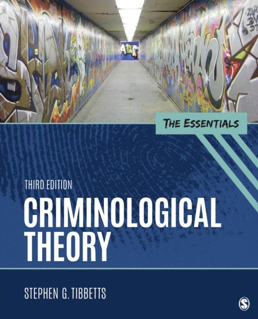 Stephen G. Tibbetts - Criminological Theory, E-bok