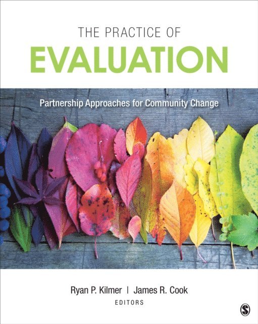 James R. Cook, Ryan P. Kilmer - Practice of Evaluation, E-bok