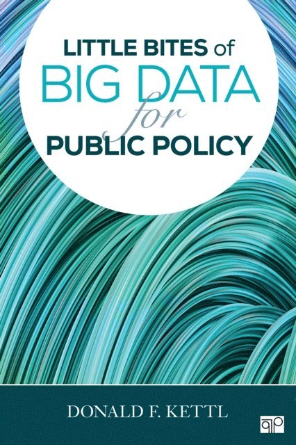 Donald F. Kettl - Little Bites of Big Data for Public Policy, E-bok