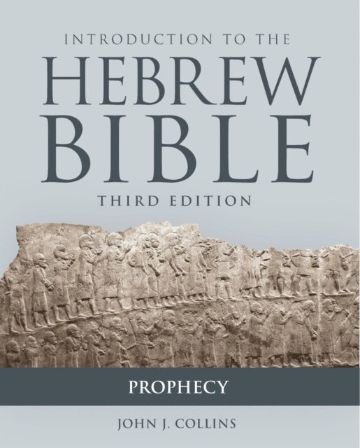 Collins John J. Collins - Introduction to the Hebrew Bible, E-bok