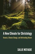 A New Climate for Christology