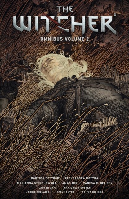 Aleksandra Motyka, Bartosz Sztybor - Witcher Omnibus Volume 2, E-bok