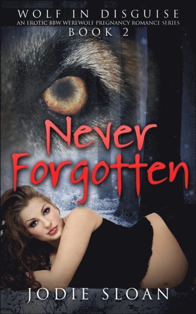 Jodie Sloan - Wolf In Disguise : Never Forgotten #2, E-bok