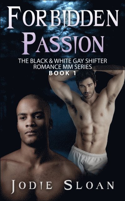 Jodie Sloan - Forbidden Passion, E-bok