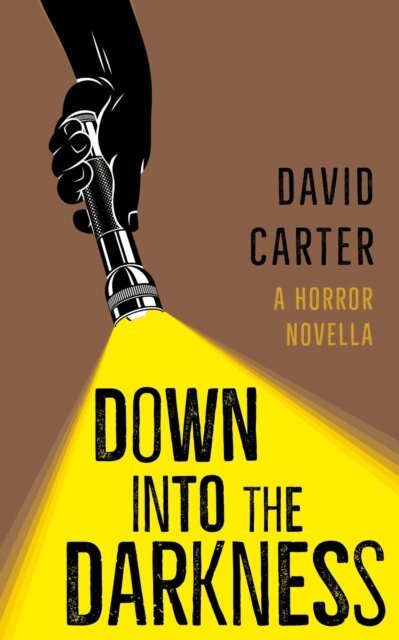 David Carter - Down into the Darkness, E-bok