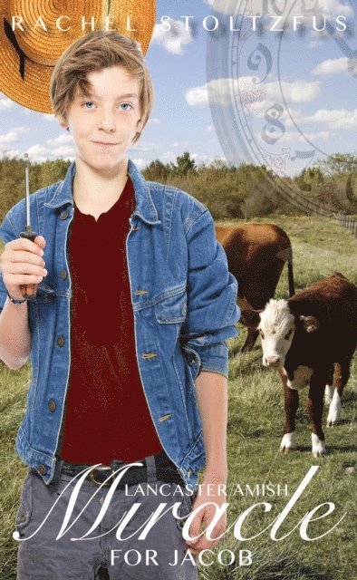 Rachel Stoltzfus - Lancaster Amish Miracle for Jacob, E-bok