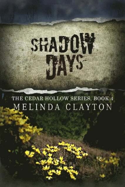 Melinda Clayton - Shadow Days, E-bok